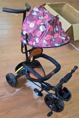 Tricycle With Protective Canopy - thumbnail 2