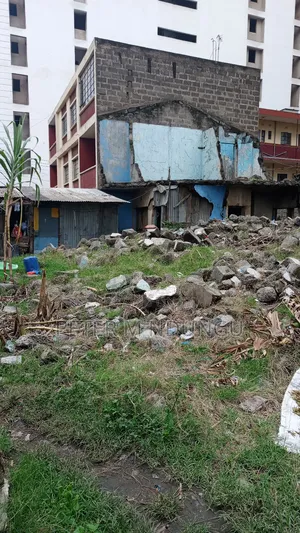 Eastleigh Kirogothi Street, 50*100 Prime Plot