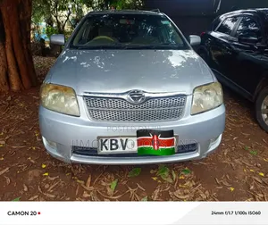 Toyota Corolla Fielder 2006 Silver