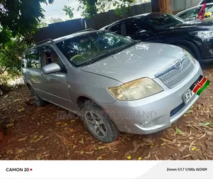 Toyota Corolla Fielder 2006 Silver