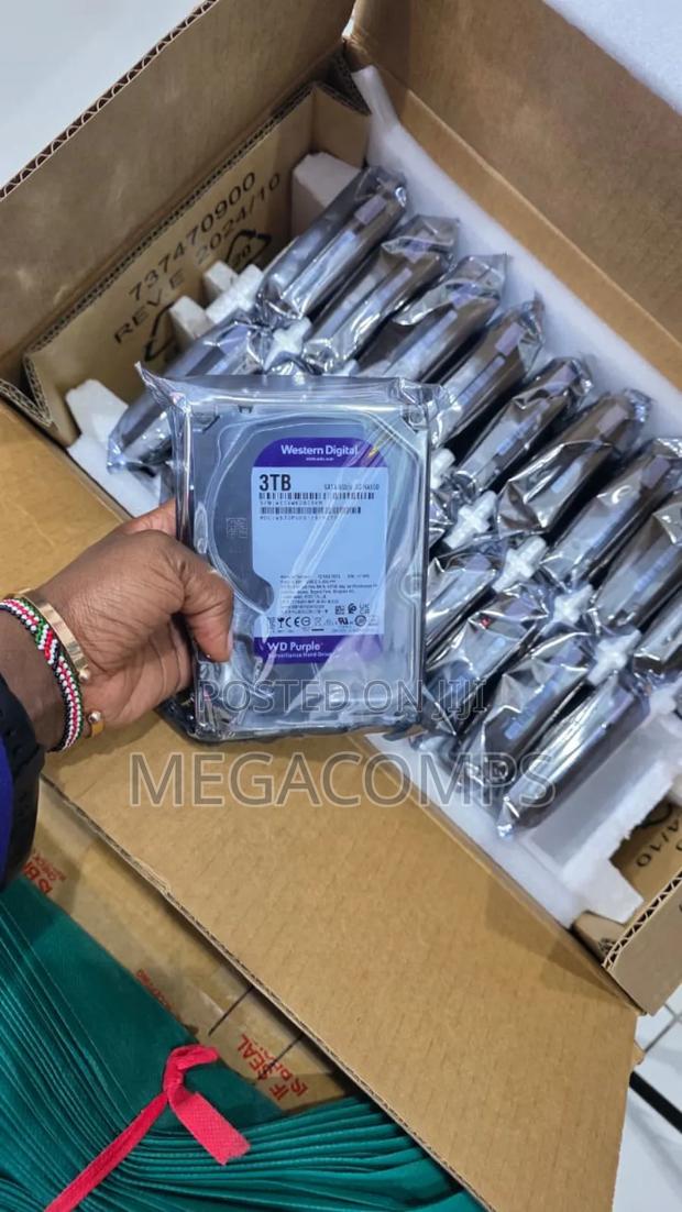 Servillance Hard Disk - main view