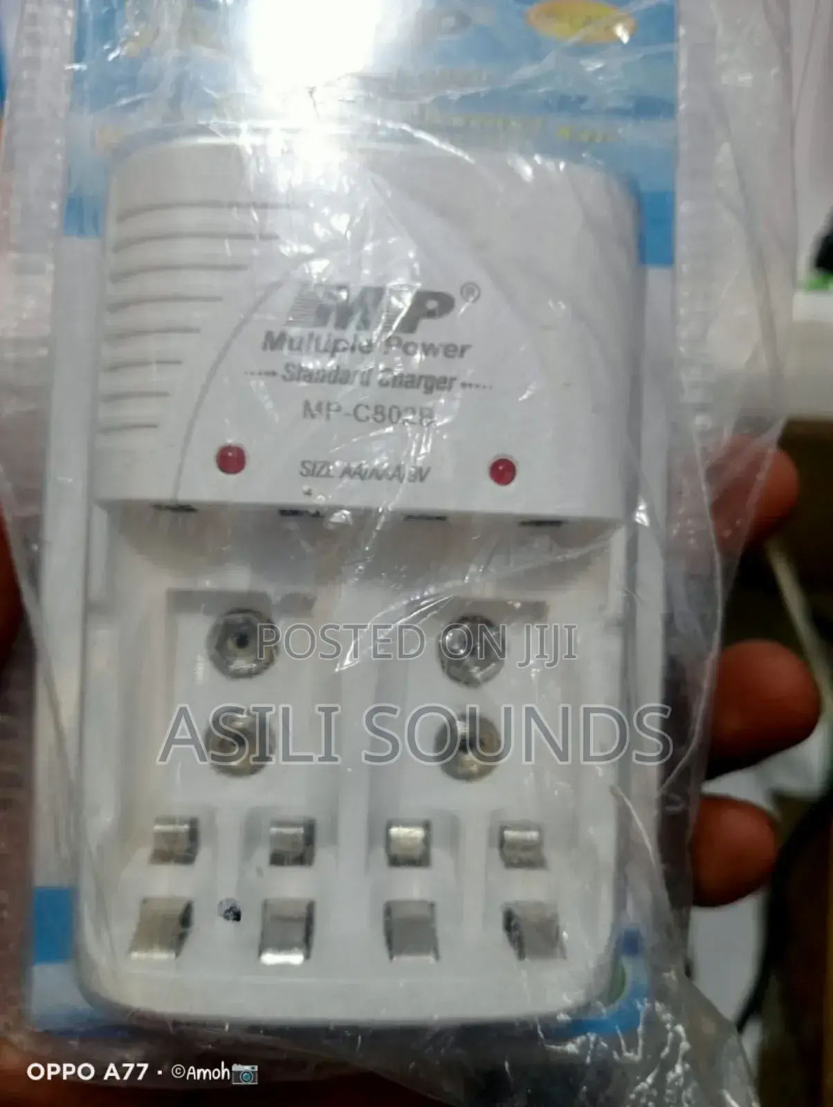 Multiple Power Standard Charger