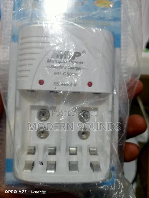 Multiple Power Standard Charger - main view