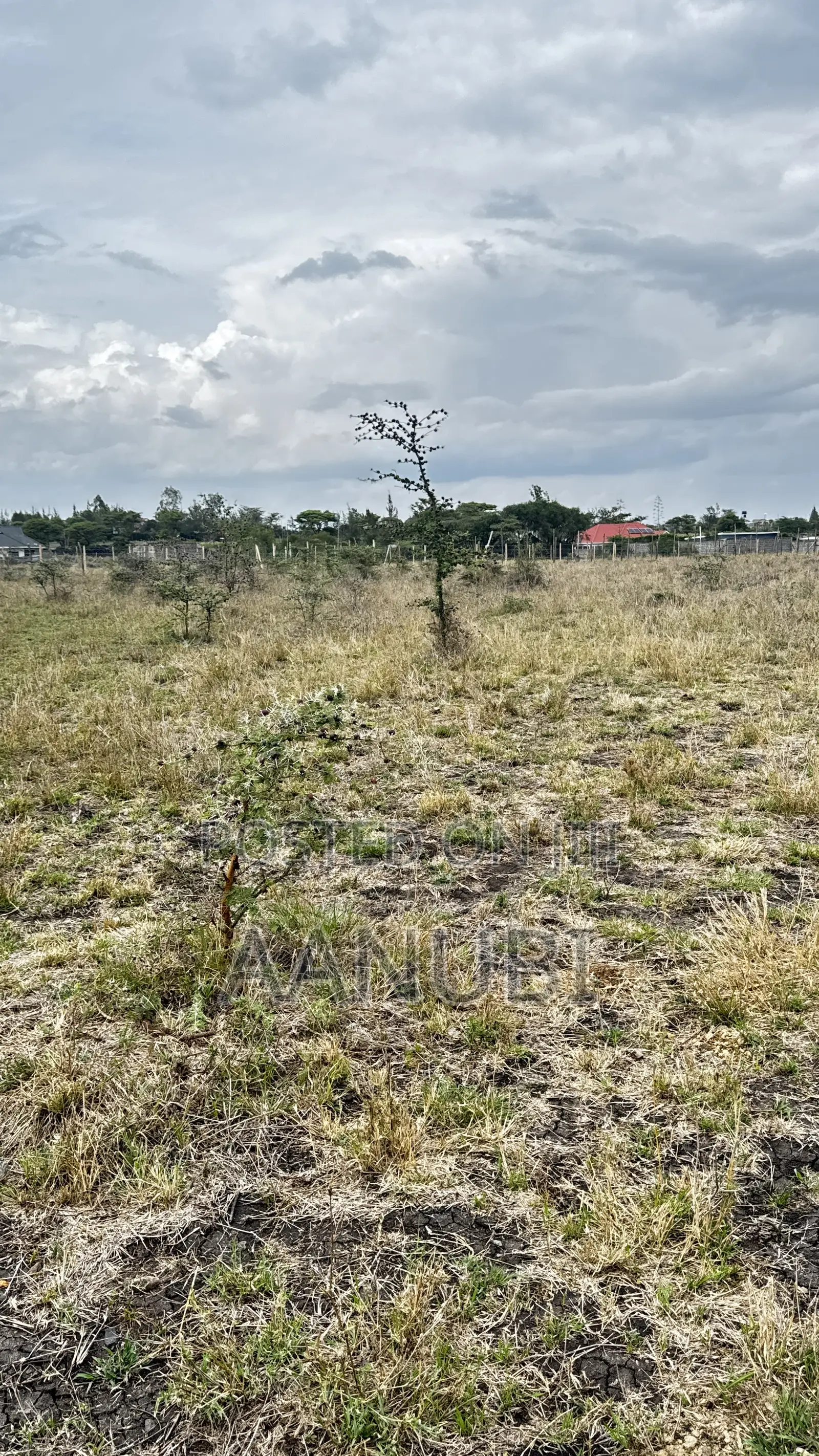 Prime Plots For Sale In Katani