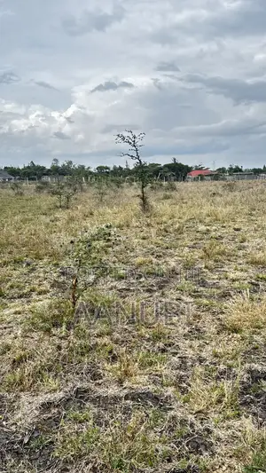 Prime Plots For Sale In Katani