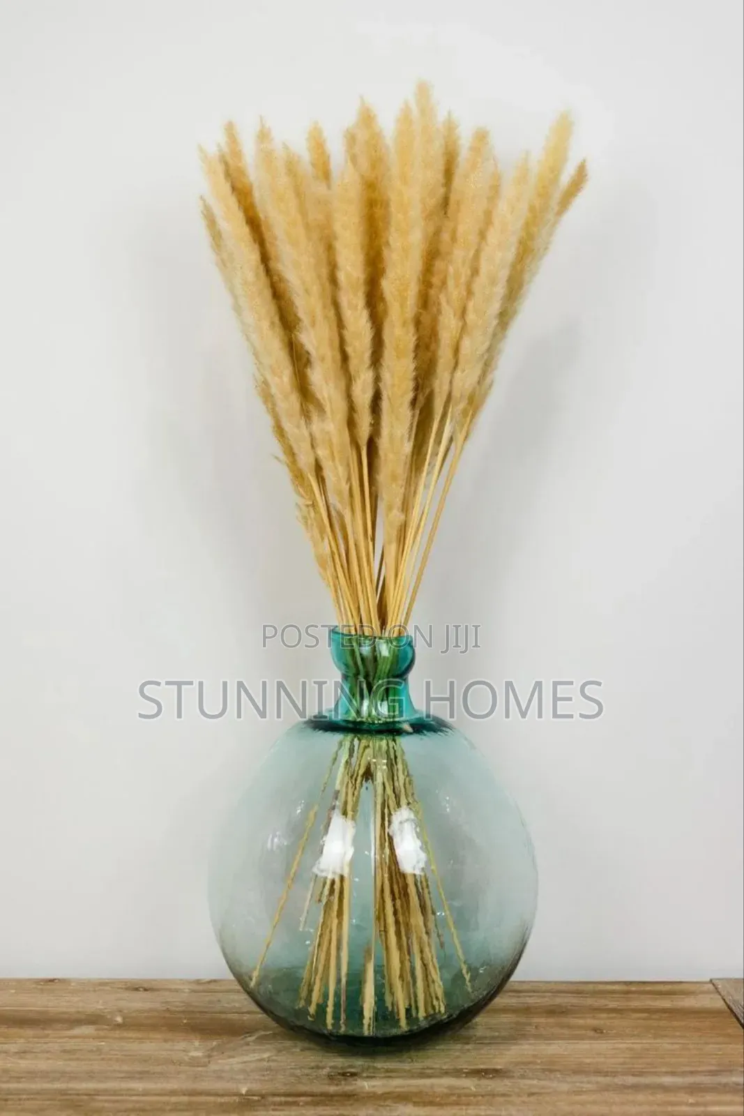 Decorative Mini Pampas Grass