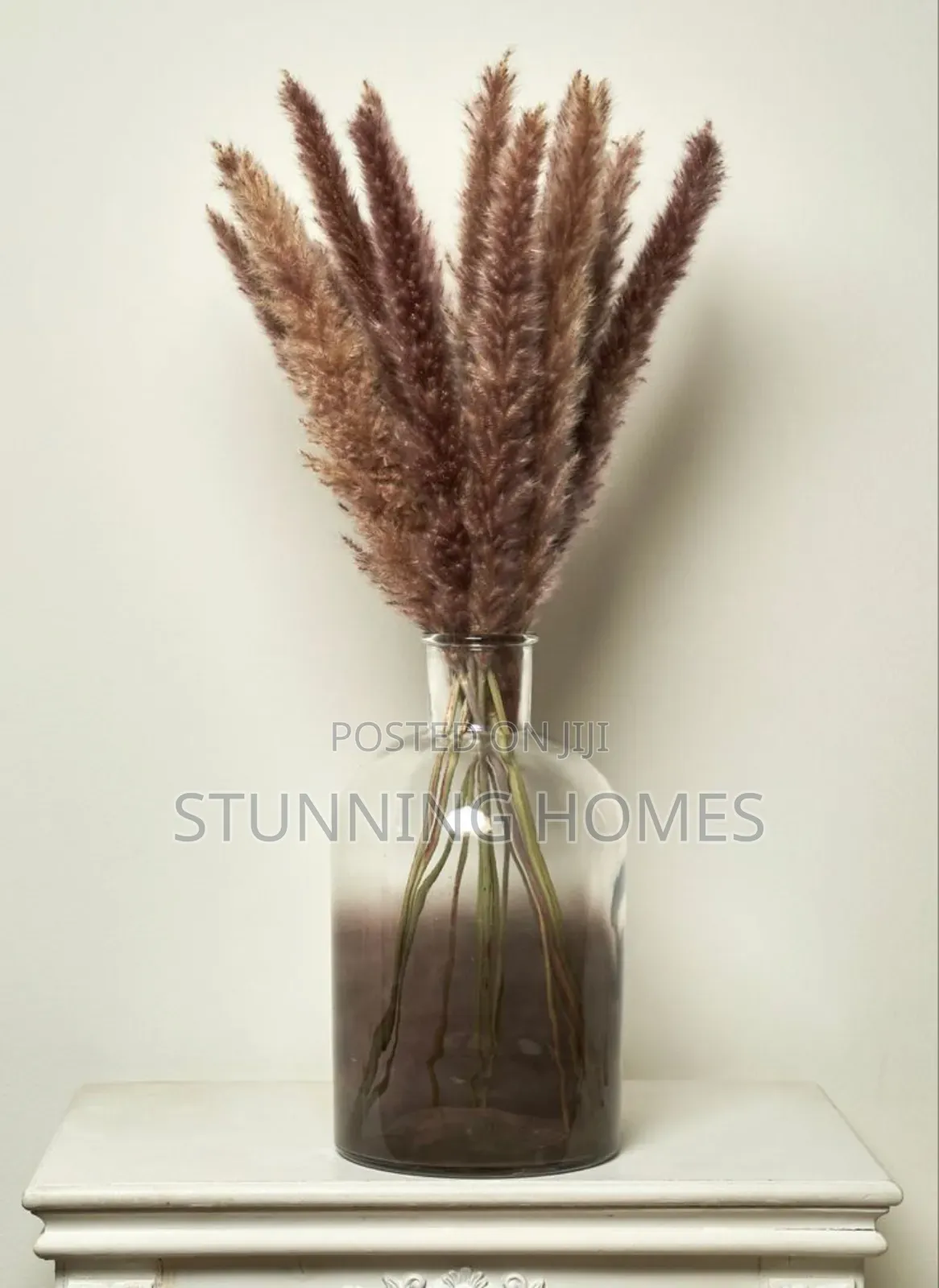Decorative Mini Pampas Grass
