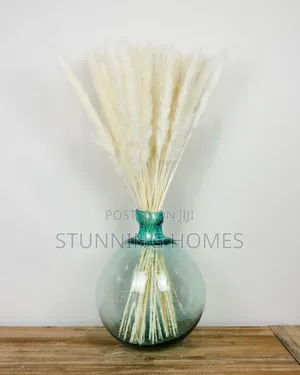 Decorative Mini Pampas Grass
