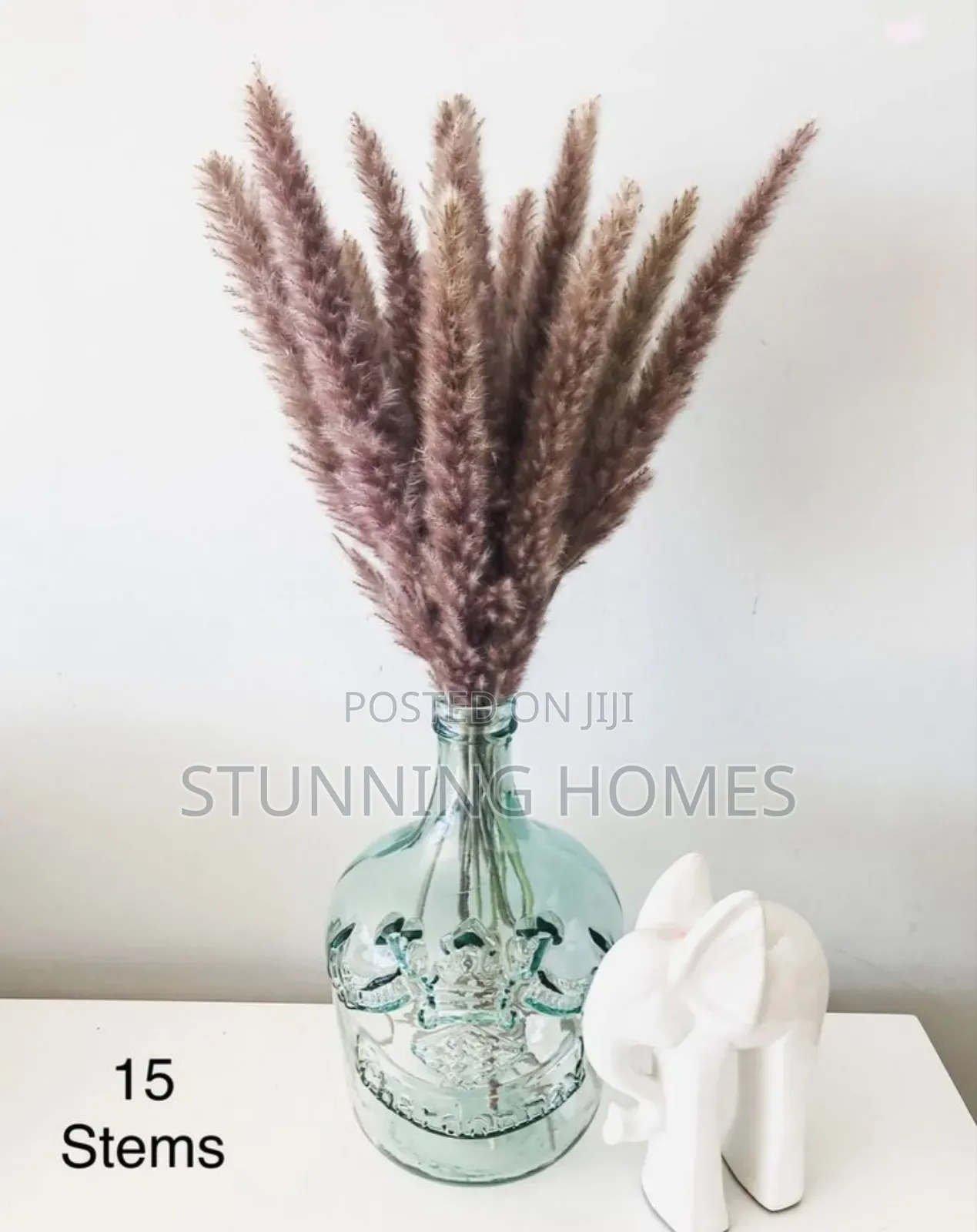 Decorative Mini Pampas Grass