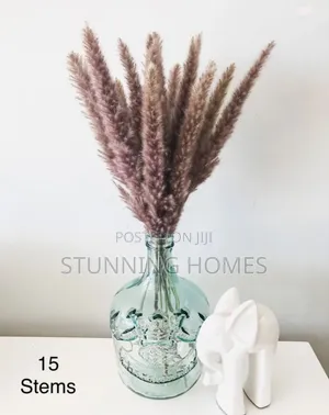 Decorative Mini Pampas Grass