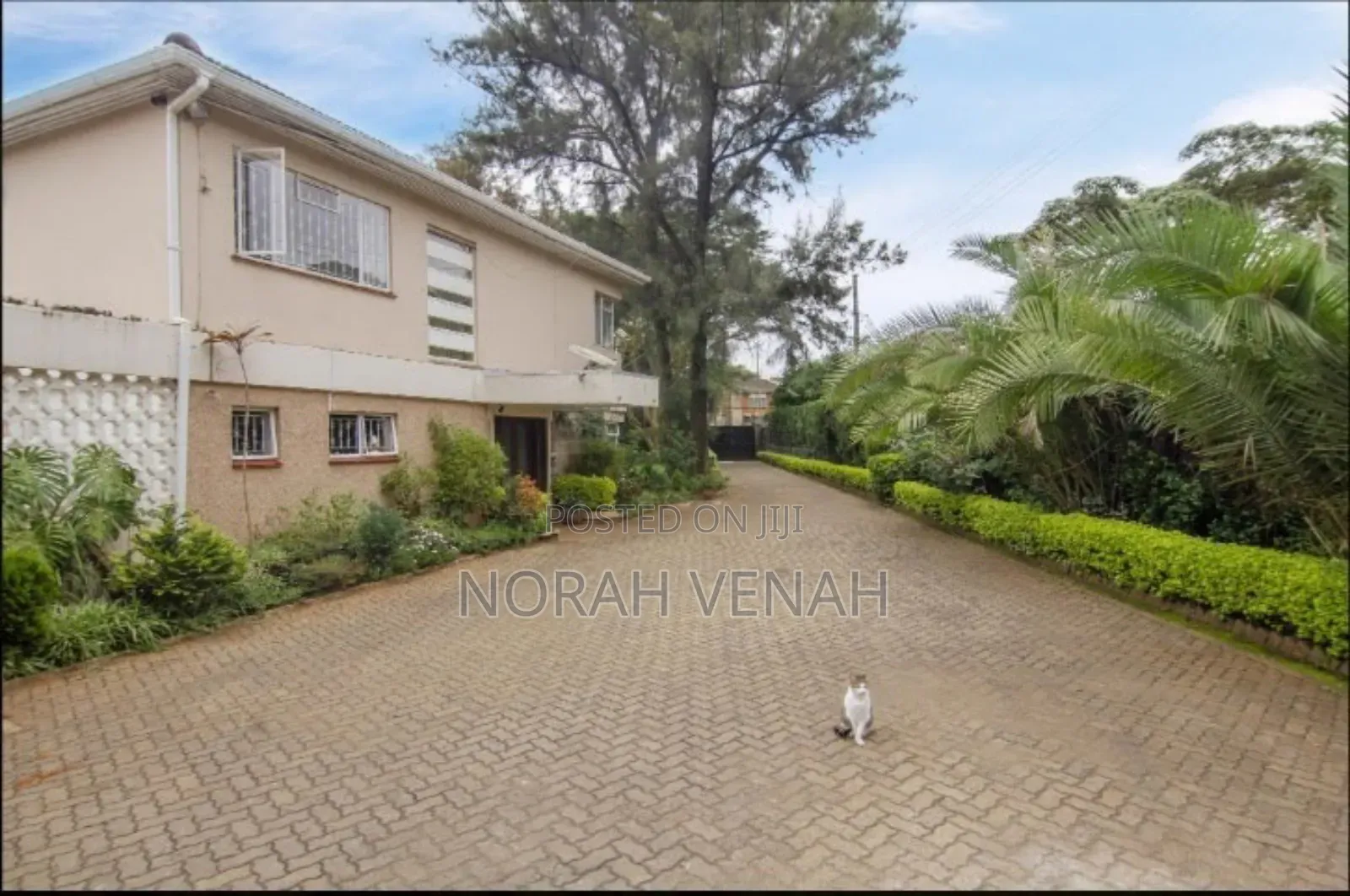 1\2 an Acre Muchai Drive 200metres to Ngong Road