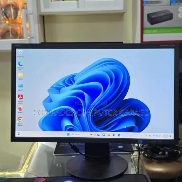 Monitor 24 Inches Nec