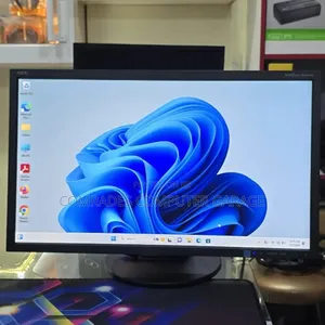 Monitor 24 Inches Nec