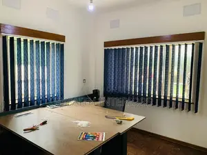 Durable Window Blinders
