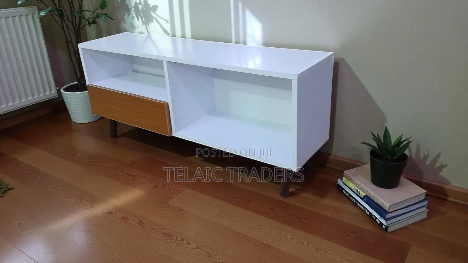 Modern Minimalist Syd Tv Stand