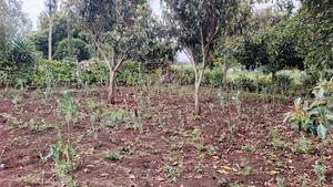 50*100 Plot for Sale in Ngong Kahara Road Near Kiserian