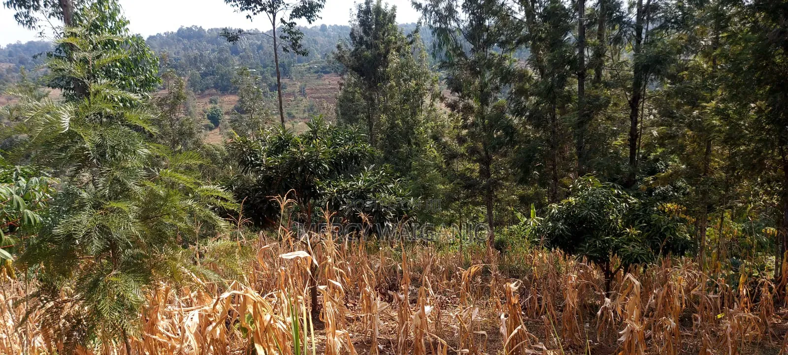A 1.001 Acre Land With a 2 Bedroom Self Contained House on It.