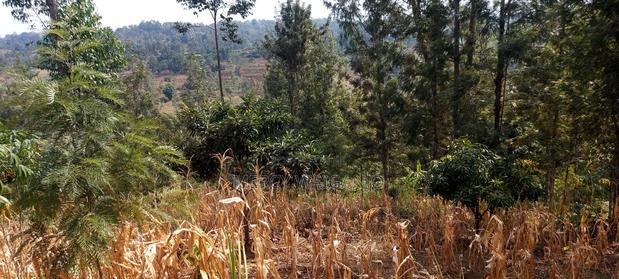 A 1.001 Acre Land With a 2 Bedroom Self Contained House on It. - main view