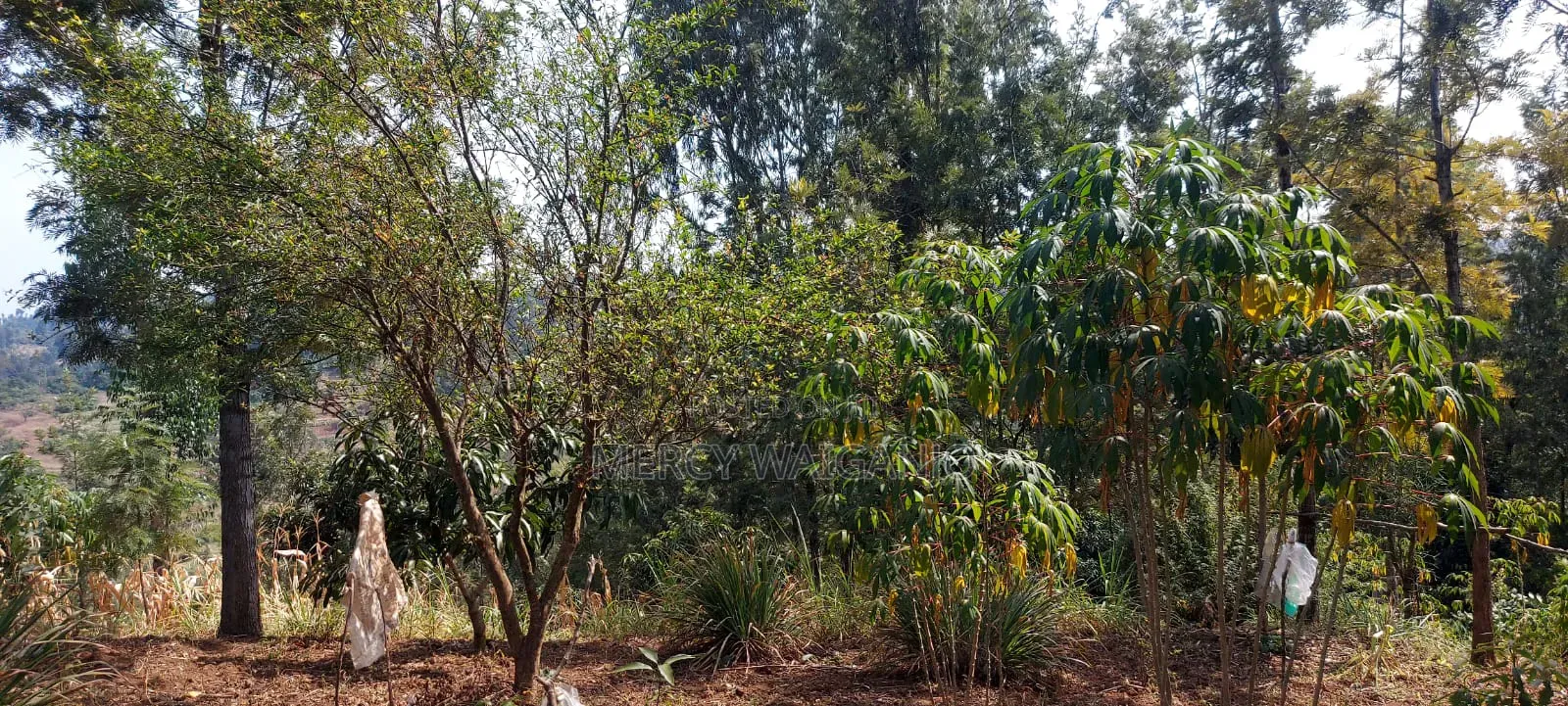 A 1.001 Acre Land With a 2 Bedroom Self Contained House on It.