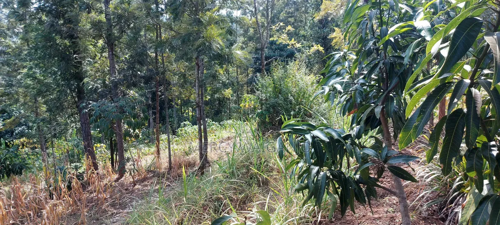 A 1.001 Acre Land With a 2 Bedroom Self Contained House on It.