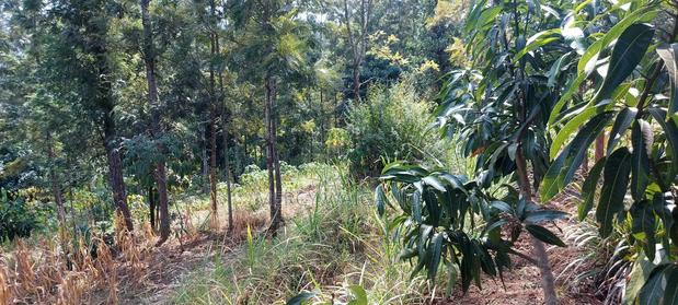 A 1.001 Acre Land With a 2 Bedroom Self Contained House on It. - thumbnail 4