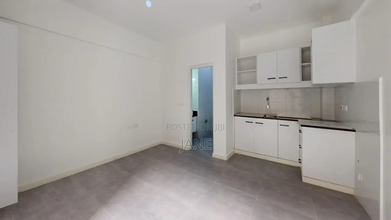 Studio Apartment in 17Losai, Ngara for rent