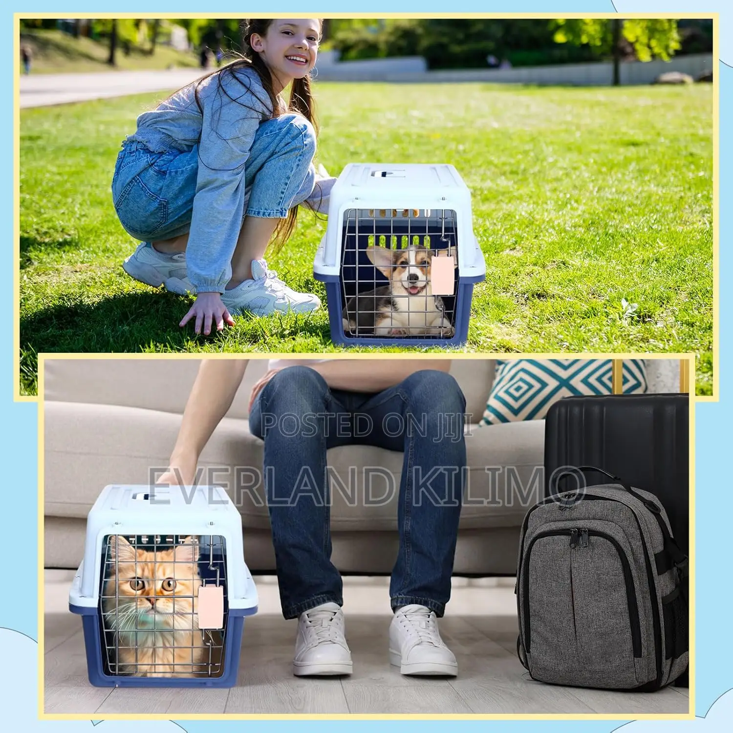 Plastic Pet Travel Carrier,Strong Secure for Small Dogs