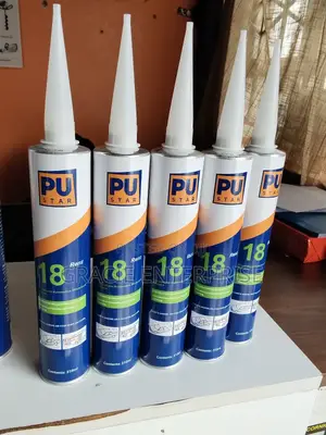 Pu Star Automotive Windshield