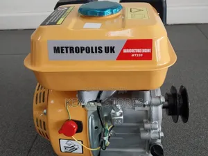 Metropolis Uk 8.5hp Petrol Engine