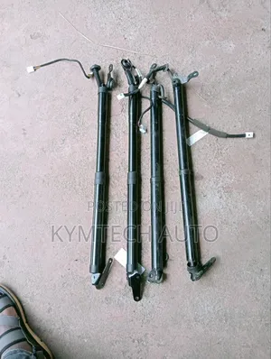 Electric Boot Shocks Nx 200t