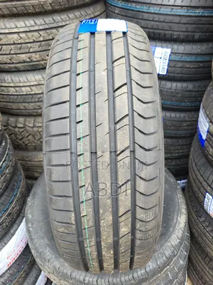225/55r18 Goddard