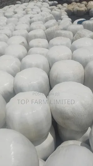 Polythene Wrapped Silage (Corn Silage)