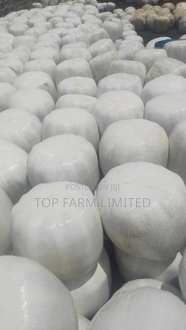 Polythene Wrapped Silage (Corn Silage)