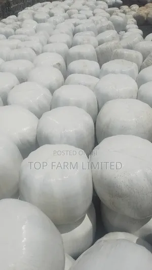 Polythene Wrapped Silage (Corn Silage)
