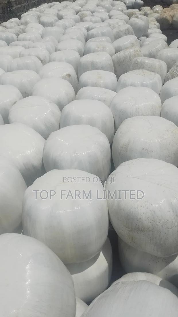Polythene Wrapped Silage (Corn Silage) - thumbnail 2