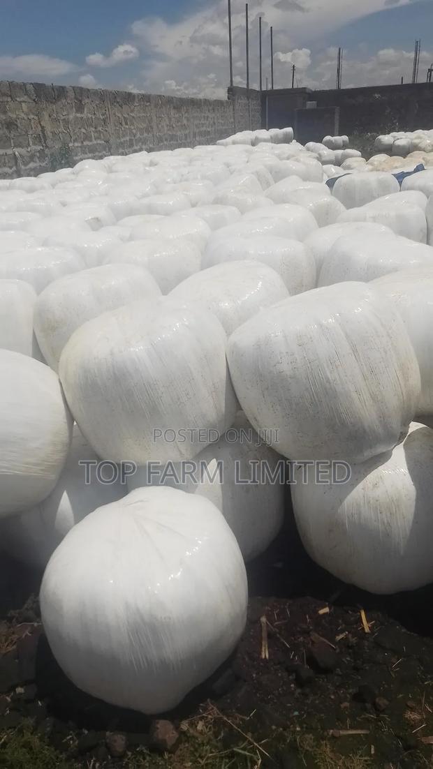Polythene Wrapped Silage (Corn Silage) - thumbnail 3