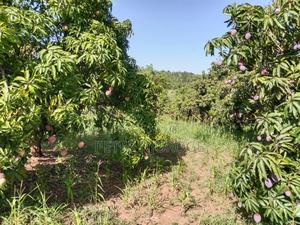 1acre Land - thumbnail 2