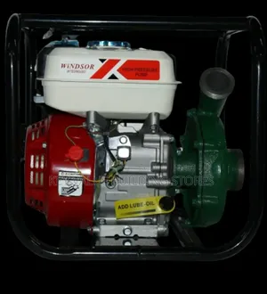 High Capacity Windsor Gasoline Water Pump