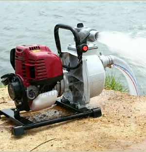 Weather Resistant Windsor Gasoline Water Pump