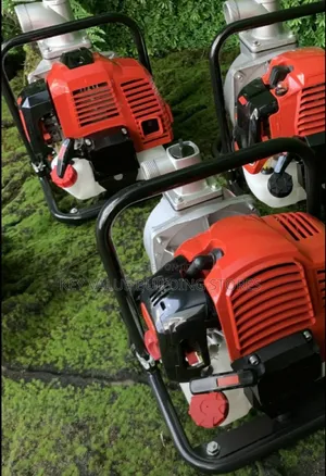 Corrosion Resistant Windsor Gasoline Water Pump