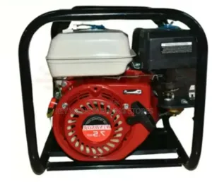 Windsor Gasoline Water Pump