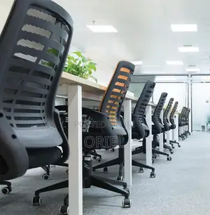 Medium Back Chairs; Mesh Executive Productivity Office Chair
