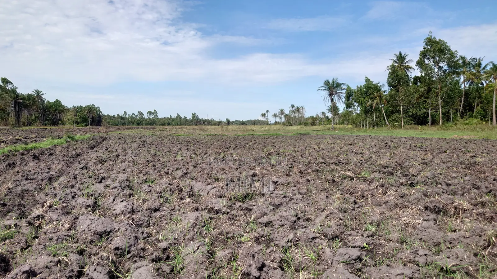 Reduced Price ! 3.9 Acre of Fertile Farmland at Mrima ,Bwiti Freehold
