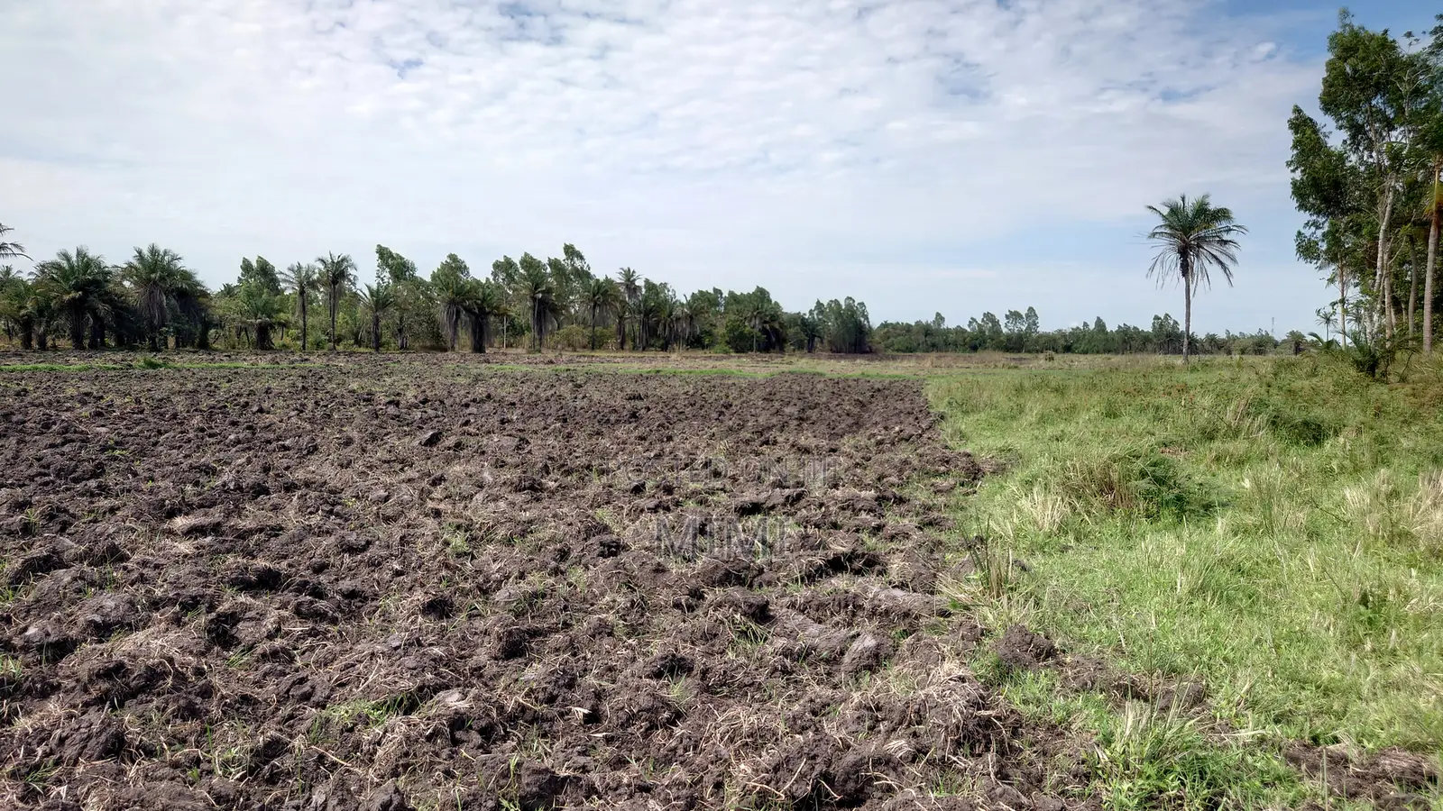 Reduced Price ! 3.9 Acre of Fertile Farmland at Mrima ,Bwiti Freehold