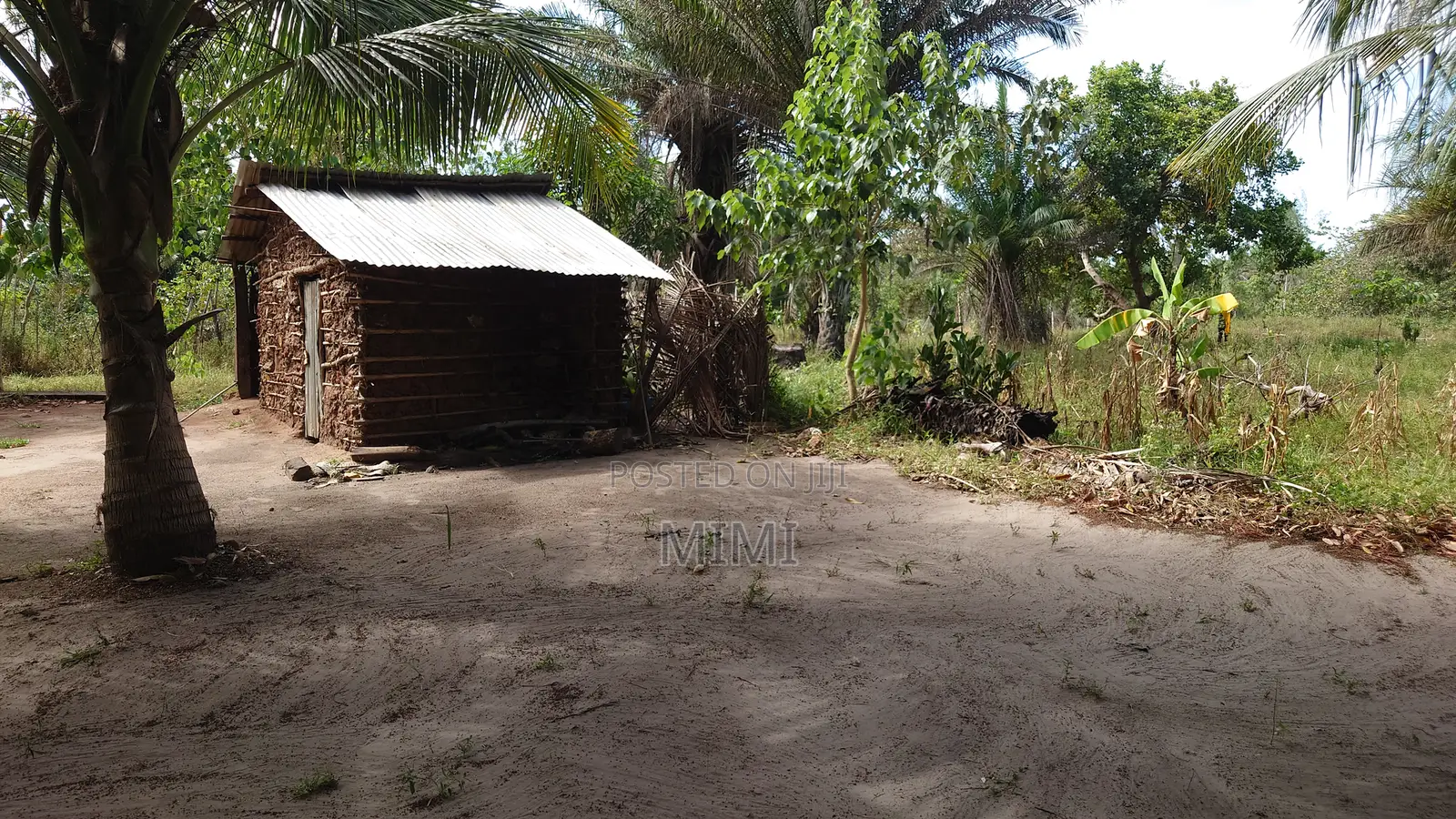 5 Acre Fertile Farm Mrima Not Far From Ramisi . Freehold