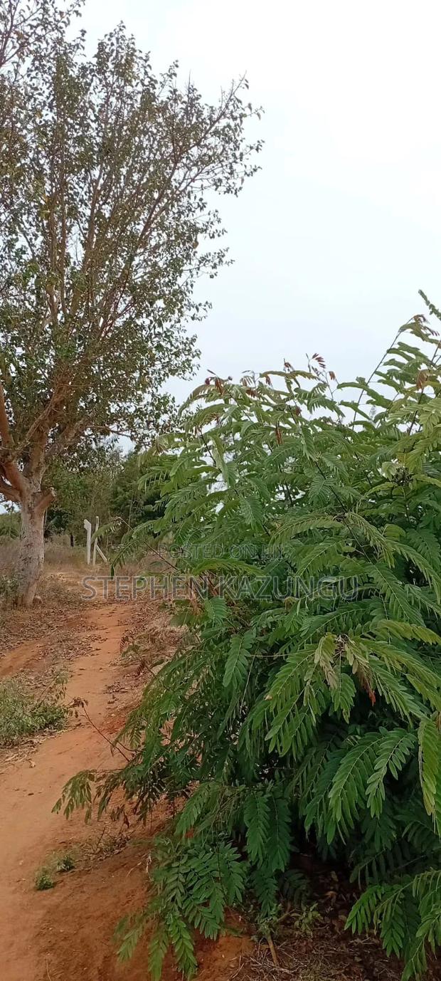 1/4 Acre Plot On Sale At Kinondo Town, Opposite Kinondo Hospital. - thumbnail 6