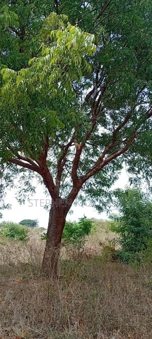 1/4 Acre Plot On Sale At Kinondo Town, Opposite Kinondo Hospital. - thumbnail 2