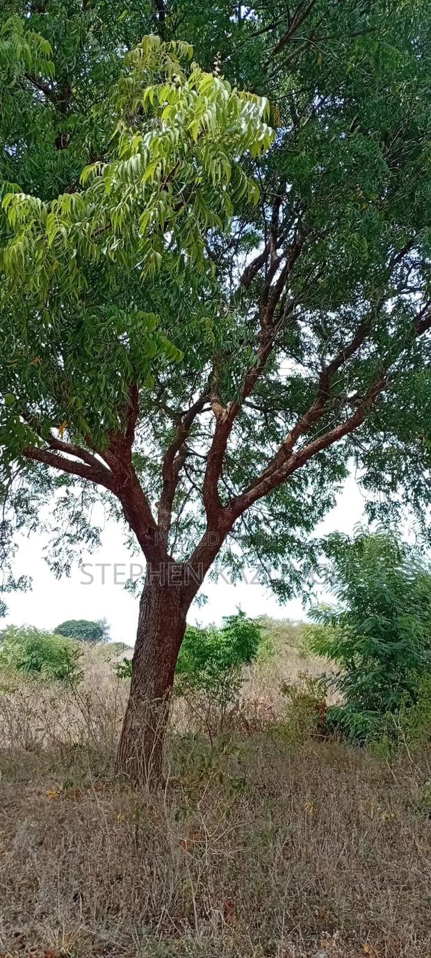 1/4 Acre Plot On Sale At Kinondo Town, Opposite Kinondo Hospital. - main view