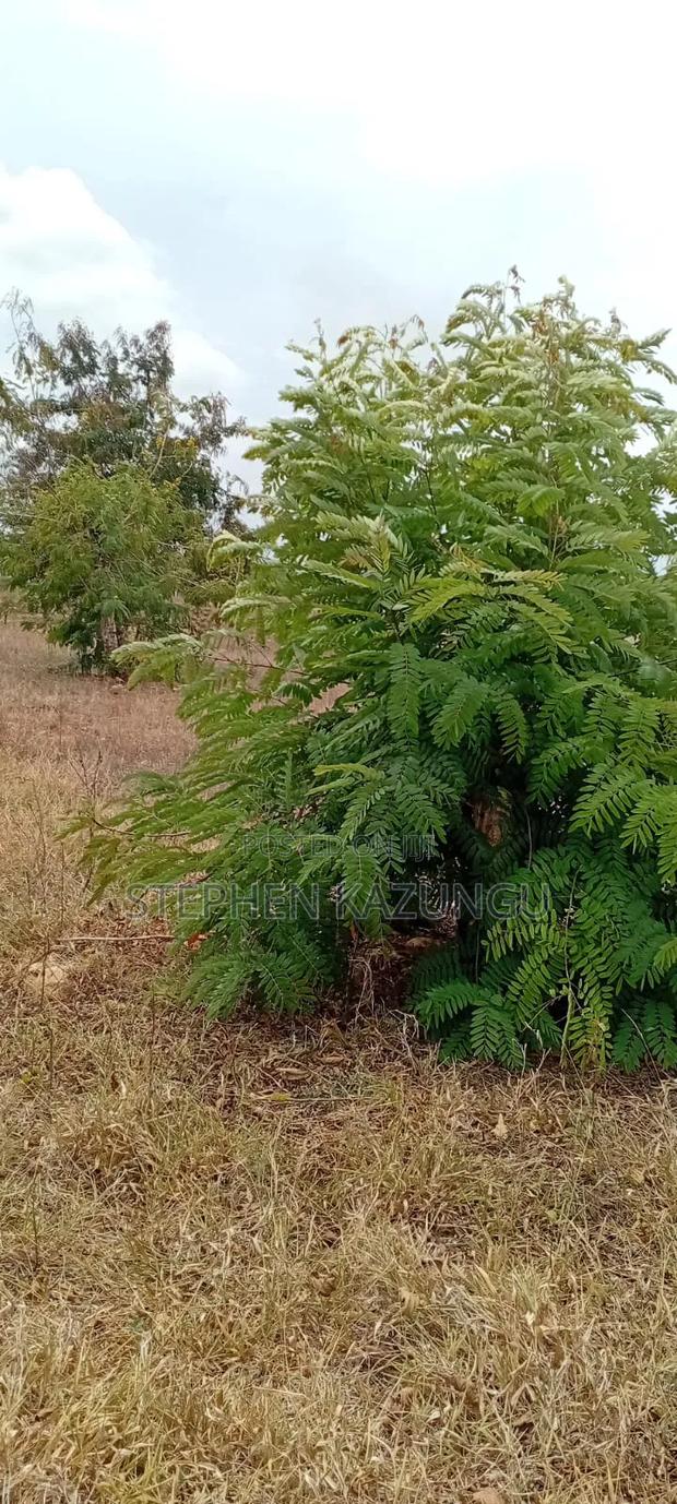 1/4 Acre Plot On Sale At Kinondo Town, Opposite Kinondo Hospital. - thumbnail 8