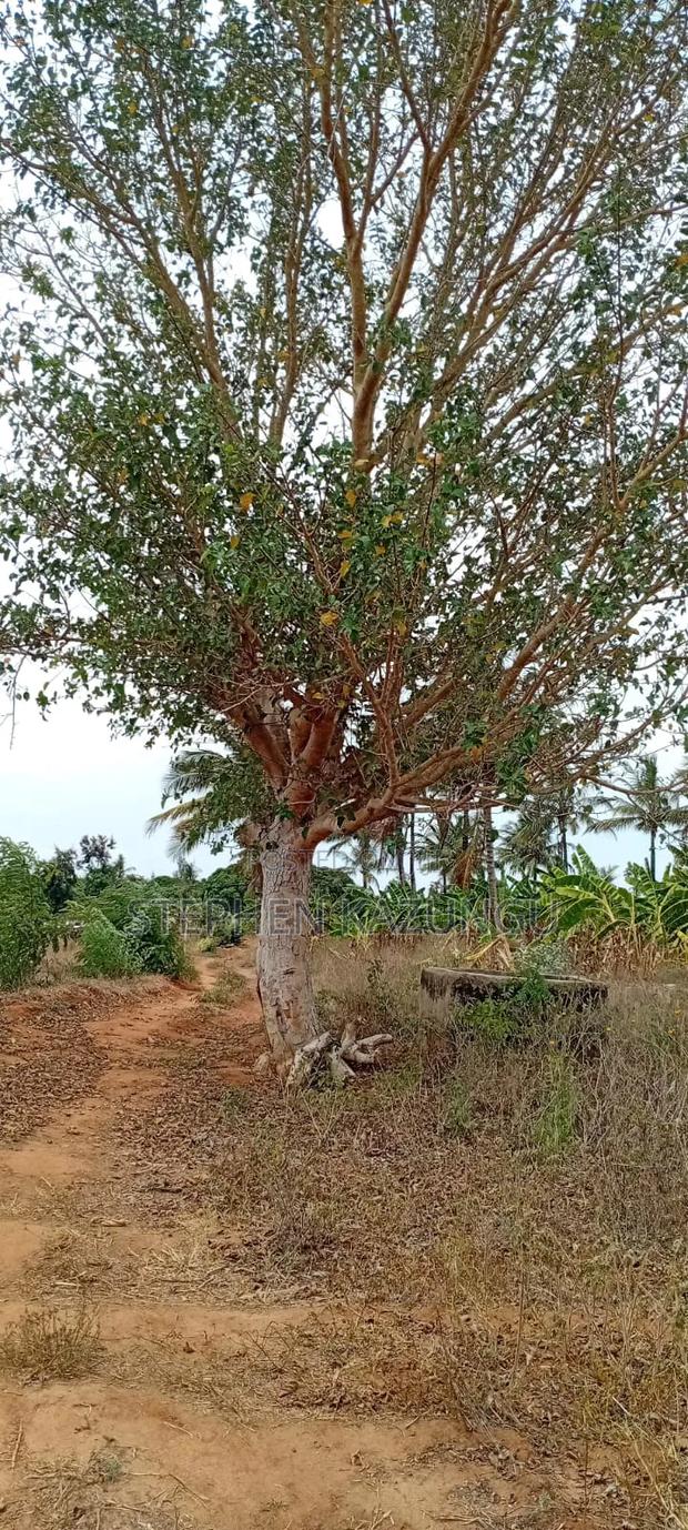 1/4 Acre Plot On Sale At Kinondo Town, Opposite Kinondo Hospital. - thumbnail 5